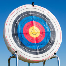 36 in. Round Ethafoam Target With Replaceable Core