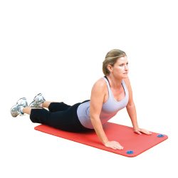 BSN SPORTS Hanging Workout Mat - 72"L x 24""W x 5/8"" - Blue"