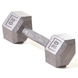 Hex Dumbbell w/ Straight Handle 20 lb